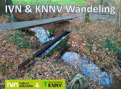 Wandeling in Het Lankheet