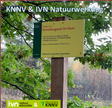 Natuurbeheer