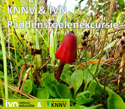 Veldbiologische excursie